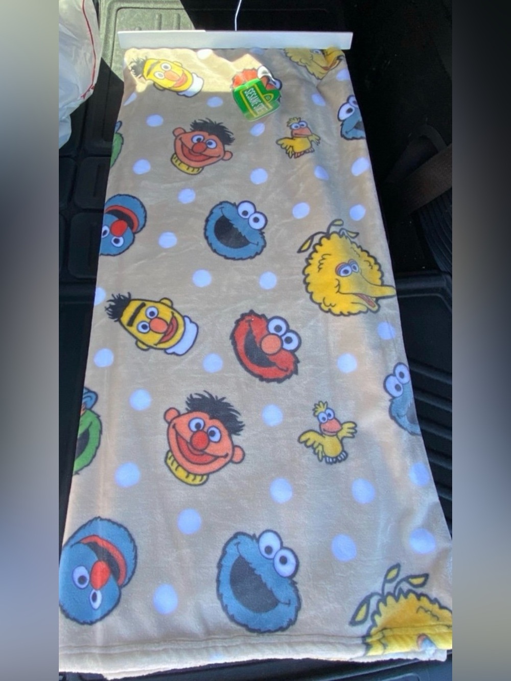 Sesame Street oversize plush throw - incredibly soft!  Brand new 60”